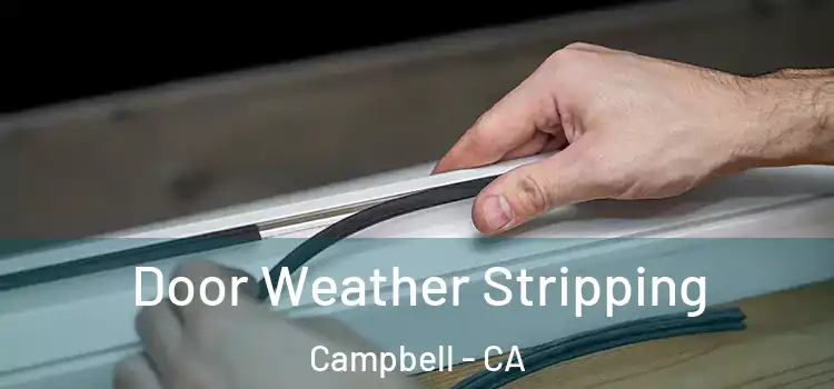  Door Weather Stripping Campbell - CA